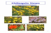 Daffodils. Photo by Joan Rowe€¦ · 4/13/2020  · Photo by Joan Rowe thApril 13 , 2020. Volume 17, Issue 15 . 2 ... Monthly meetings will resume in September. Chiloquin Community