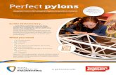 Perfect pylons - raeng.org.uk Resources... · supported by pylons. Pylons must be strong and stiff; able to support the load of the cables without bending or breaking and withstand