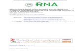 Genome-wide analyses of two families of snoRNA genes from ...€¦ · Reprint requests to: Liang-Hu Qu, Biotechnology Research Center, Zhongshan University, Guangzhou, 510275, ...