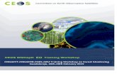 Context - The Committee on Earth Observation …ceos.org/.../WGCapD/AEM_CNES_Forest_Workshop_Gu… · Web viewCNES was solicited by AEM in the context of french-mexican cooperation