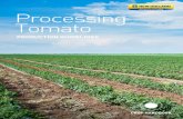 Processing Tomato - CNH Industrial · significantly reduce tomato yields. A good seed bed is important because plant roots require water and oxygen from the soil pore space. A good