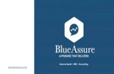 Internal Audit G Consulting€¦ · Data Integrity Infrastructure Access Controls IT General Controls Project Management Third Party Access Our teams at Blue Assure are experienced