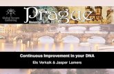 Continuous Improvement in your DNA · WHAT IS A CONTINUOUS IMPROVEMENT CULTURE? From corporate values to desirable behaviour-You take it on and make it happen-You help others to be