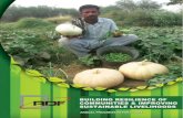 Contentsrdfoundation.org.pk/wp-content/uploads/2019/01/RDF... · ﬁelded development activities to improve livelihoods, food security and resilience of the vulnerable communities