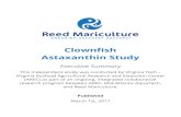 Clownfish Astaxanthin Study - Reed Mariculture · Astaxanthin Level Average Preference Score 0 ppm 2.8 150 ppm 4.8 250 ppm 5.3 400 ppm 8.3 640 ppm 5.2 1020 ppm 4.8 It is noteworthy
