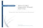 Burt Lake Aquatic Plant Survey - Tip of the Mitt Watershed Council · 2015. 4. 24. · Burt Lake Aquatic Vegetation Survey 2016 2 The Association should act to address existing invasive