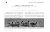 Waterbird Counts on the West Arm of Kootenay Lake, British ... Kootenay Lake Waterbirds Sm.pdf · Arm of Kootenay Lake, British Columbia, during late autumn in 35 of the past 40 years