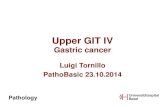 Upper GIT IV Gastric cancer - WordPress.com · –Gastritis, HP, IM ... –NB: this is not a final diagnosis ... • AWMF, DKG, S-3 Leitlinie zur Diagnostik und Therapie der Adenokarzinome