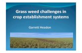 Garrett HeadonCanary Grass Scutch ... Effective cultural control of grass weeds But, ploughing has its own disadvantages. Min-till Stale seed beds with chemical control Offers management