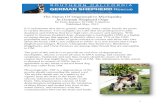 The Status Of Degenerative Myelopathy In German Shepherd Dogs · In German Shepherd Dogs by Peter Kunasz, SCGSR Volunteer Published May, 2013 It is unfortunate that due to genetic