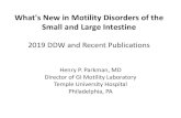 What's New in Motility Disorders of the Small and Large ... · Small and Large Intestine 2019 DDW and Recent Publications Henry P. Parkman, MD ... complete bowel movements (SCBMs)