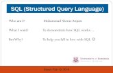 Who am I? Muhammad Sheraz Anjum What I want? To ...193.1.101.7/4014/SQL.pdf · Introduction (cont.) SQL is a standard language for storing, manipulating and retrieving data held in