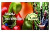 FLANDRIA. THE FRESH FAMILY · FLANDRIA. THE FRESH FAMILY ﬁ nancée avec l’aide de la Communauté Européenne . Title: 1306_190x60_bandeau_Flandria_paprika.indd Created Date: