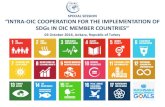 SPECIAL SESSION “INTRA-OIC COOPERATION FOR THE ...€¦ · 2- What is the importance of multi‐stakeholder partnerships for sustainable development in OIC member countries? How