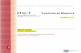 ITU-T Technical Report - Movinpicsmovinpics.com/documents/TR_Book_Order Definition.pdf · at the ITU-T Study Group 2 meeting held in Geneva, dd-dd MMMM YYYY. Editor: Arve Meisingset