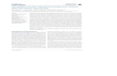 Coordination of plant mitochondrial biogenesis: keeping ... · doi: 10.3389/fpls.2013.00551 Coordination of plant mitochondrial biogenesis: keeping ... inside mitochondria must be