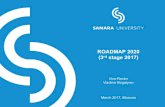 ROADMAP 2020 (3 stage 2017) · ROADMAP 2020 (3rd stage 2017) Vice-Rector Vladimir Bogatyrev March 2017, Moscow