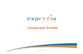 Corporate Profile - Exprivia · Net Equity 67.2 65.8 Total Assets 197.9 174.4 Cash Flow 6.8 7.8 • Net Financial Position is 31% comprised of medium-and long-term loans. • The