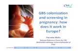 GBS colonization and screening in pregnancy: how does it ... · Culture-based screening done 1 to 5 or > 6 weeks before delivery (Yancey, 860 cases; Melin, 531 cases) 30% of GBS pos