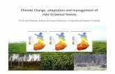 Prof. Heli Peltola, School Forest Sciences, University Eastern … · carbon stock of Finnish forests in 2010‐2039, 2040‐2069 and 2070‐2099 ‐ Forest management followed in