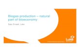 Biogas production – natural part of bioeconomy€¦ · Sustainable circular bio-economy: Efficient and sustainable use and valorisation of biomass and biomass side-streams 27.11.2019