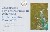 Chesapeake Bay TMDL Phase III Watershed Implementation ... · DEQ Phase III WIP Development Timeline Notes • Based on EPA’s approved, adjusted WIP III/MPA schedule • Timeline