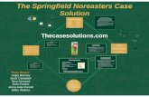  · Springfi Nor'easters future State pring Nor 'casters current State Thecasesolutions.com . Batter Up! (Situation Analysis) We at the Springfield Nor'easters believe in giving fans