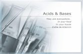 Acids & Bases - Common Entrance, Key Stage 3, GCSE & A ...bioteacher.weebly.com/uploads/9/9/1/9/9919780/wk_2... · of an acid and one property of a base I should be able to use the
