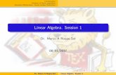 Linear Algebra. Session 1roquesol/Math_304_Fall... · Introduction Sistems of linear equations Gaussian Elimination. Gauss-Jordan Reduction Linear Algebra. Session 1 Dr. Marco A Roque
