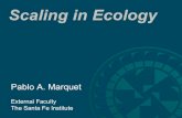 Scaling in Ecology - Amazon S3Scaling of life-history events From: Sibly(2012) Scaling in individuals and ecosystems From:Tuckeret al (2014) From: Anderson-Teixeira and Vitousek(2012)