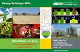 Bioenergy Technologies Office · 2017. 3. 7. · 1 | Bioenergy Technologies Office eere.energy.gov Bioenergy Technologies Office 2017 BETO Project Peer Review Overview of 2016 Billion