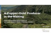 A Copper-Gold Producer in the Making · 2017. 2. 11. · TSXV: NCX 11 Red Dog Deposit Category Tonnes %Cu ppm Au %Mo Indicated 23,633,000 0.32 0.46 0.007 Inferred 848,000 0.23 0.33