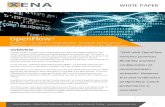 WHITE PAPER - xenanetworks.com · WHITE PAPER 3 Xena Networks – Global Price/Performance Leaders in Gigabit Ethernet Testing – ... NFV is the overall principle of implementing