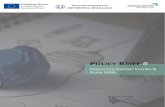 POLICY RIEF 6 - Interreg Europe · 2019. 9. 3. · Furthermore, INNOVA BIC communicates new tender possibilities, builds linkages among SMEs and participates itself in European projects