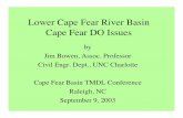 Lower Cape Fear River Basin Cape Fear DO Issuesjdbowen/LCFR/Sep03_TMDL_wkshop/B… · 1.Water Quality Models - The Analysis Tool of the TMDL Analysis 2.An Example TMDL - Neuse River