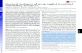 Structural mechanism of serum amyloid A-mediated ...Structural mechanism of serum amyloid A-mediated inflammatory amyloidosis Jinghua Lua, Yadong Yub, Iowis Zhua, Yifan Chengb, and