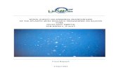 AERIAL SURVEY ON SPAWNERS AGGREGATIONS OF THE … · aerial survey on spawners aggregations . of the atlantic-wide research programme on bluefin tuna (iccat-gbyp 03/2013) sub-areas