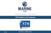 Presenting: Andreas Chrysostomou STM Validation Final ... · STM Validation Final Conference . The situation today ... • the STM/PortCDM strong international awareness, network