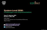 System-Level SDM: Challenges and Implementation · At a minimum, achieving SDM requires: 1. The presentation of reasonable options . 2. The meaningful contribution of patients . CLINICIAN