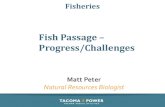 Fish Passage Progress/Challenges · Fish Passage Returning adults: •Enter river •Collected in Adult Trap at base of Cushman No. 2 Dam