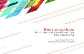 in internationalization for clusters · • To foster international cluster cooperation by adding to existing programmes the possibility to invite other clusters from the EU and developing