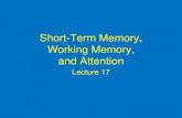 Short-Term Memory, Working Memory, and Attentionjfkihlstrom/IntroductionWeb... · 2018. 2. 14. · – Retrieval from LTM • Recency Effect – Retrieval from STM. 16. Effect of
