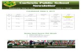 Curlewis Public School Newsletter Curlewis Public School ... · major military action fought by Australian and New Zealand forces during the First World War. Australians recognise