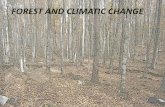 FOREST AND CLIMATIC CHANGE - recycled wood · Los combustibles fósiles liberan bióxido de carbono al quemarse e incrementan la presencia de este gas en la atmósfera que, a su vez,