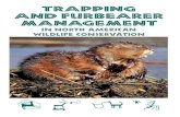 TRAPPING AND FURBEARER MANAGEMENT · Trapping and Furbearer Management in North American Wildlife Conservation is a compilation of the knowledge, insights and experiences of professional