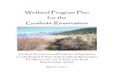 Wetland Program Plan for the Goshute Reservation€¦ · • Track wetlands monitoring data through hard-copy documents and electronically on CD and hard drive that are routinely