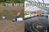 The Mud POnd M yTh - Yume Koi · 2020. 2. 27. · rather than the mud pond’s apparent pot luck. So, let’s tackle each of the mud ponds sum-mer scenarios one by one, so that it