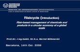Barcelona, 14th Oct. 2009WP7: Socio-economic aspects related to chemical risks (IVL) WP8: Global Strategy for Risk Based Management (TUD) ... 4th WS: India (TERI) 11th – 14th Oct