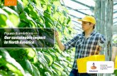 Our sustainable impact in North America - Rabobank...raise seed funding for ImpactVision – a startup utilizing hyperspectral imaging to understand the nutritional and freshness levels