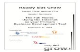 Ready Set Growinnovationcentre.ca/wp-content/uploads/2011/06/Internet-Business... · There are 5 stages to the online sales funnel (Figure 1): Attract, Engage, Convert, Nurture and